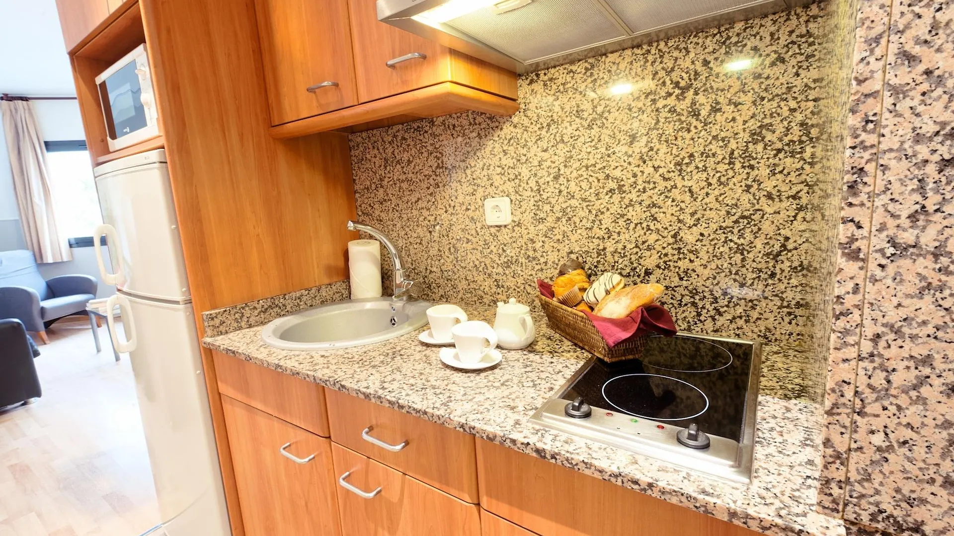 Apartments Sata Park Guell Area Barcelona